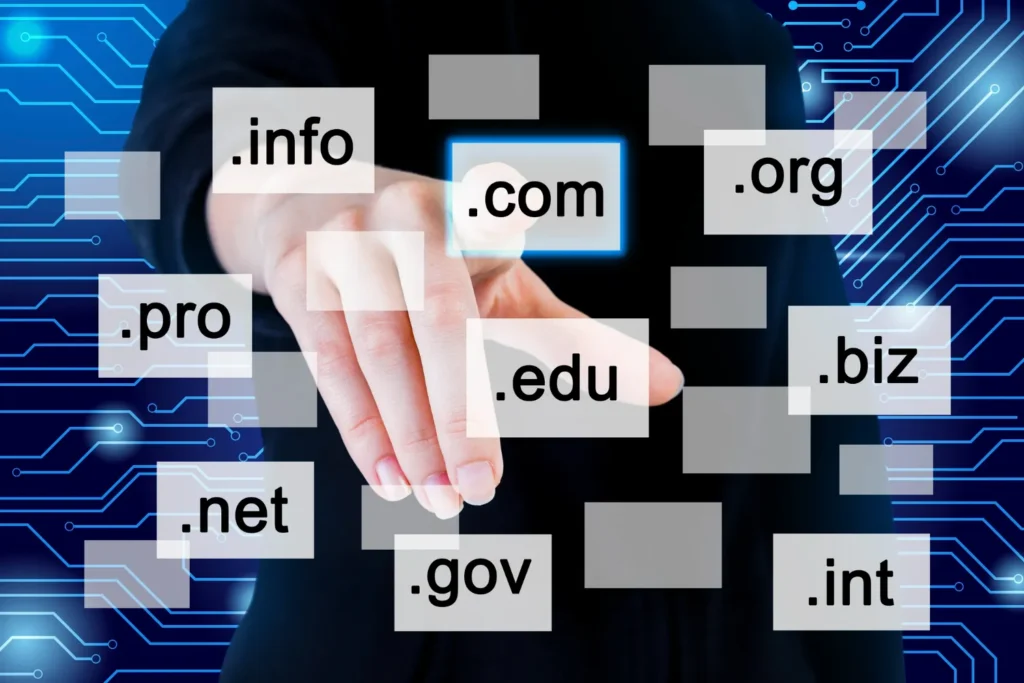 domain cost in india